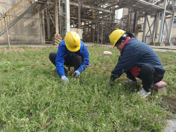 3月22日，行政保衛(wèi)部馬師傅和孫師傅在道路兩旁清除雜草。.jpg