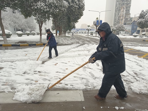 2024年1月15日，行政保衛(wèi)部組織人員在各主干道、人行道進行掃雪.jpg